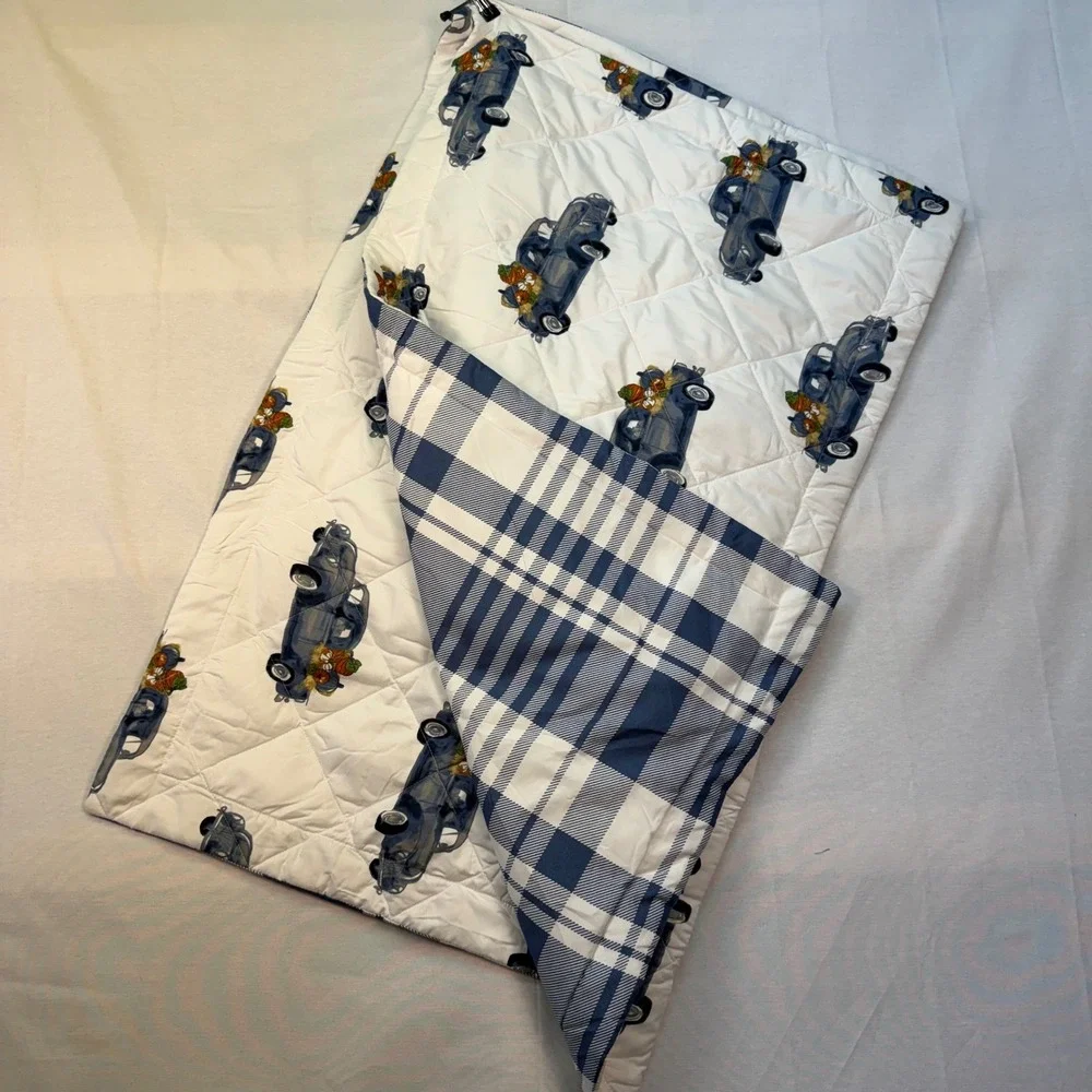 Modern Southern Home Blue Truck Pumpkin Quilted Pillow Shams Set of 2 Farmhouse